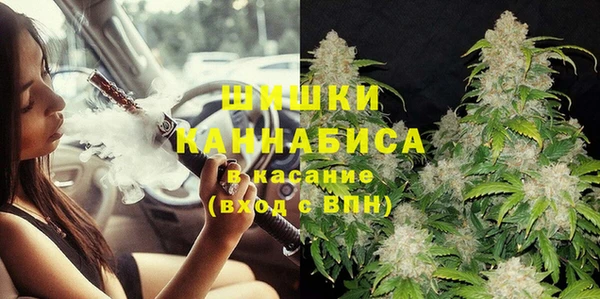 молекула духа Новодвинск