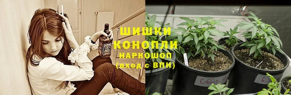 молекула духа Новодвинск